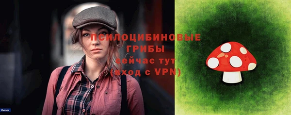 стаф Козловка