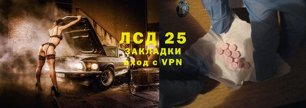 стаф Козловка