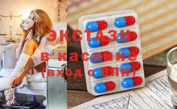 стаф Козловка