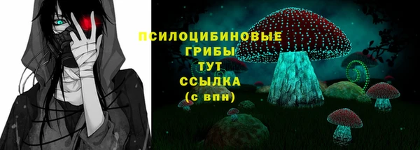 сатива Козельск