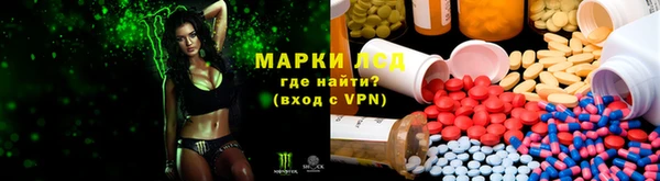 стаф Козловка