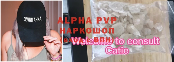 сатива Козельск