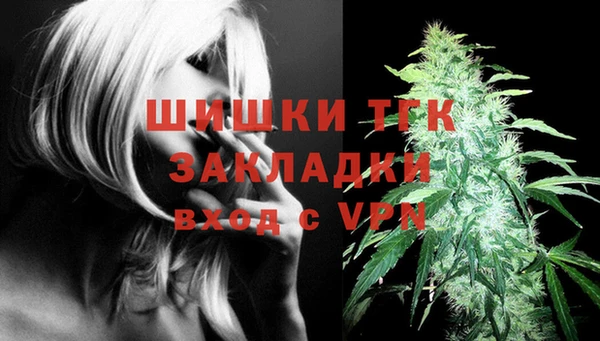 стаф Козловка