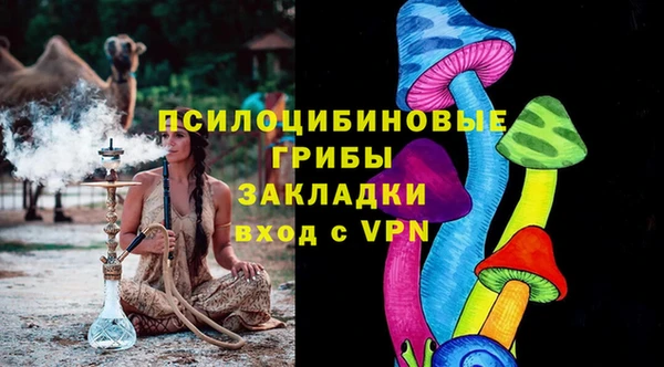 стаф Козловка