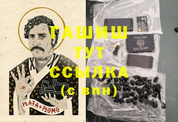 спиды Корсаков