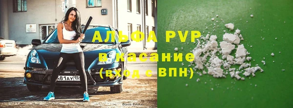 стаф Козловка