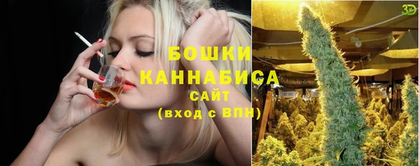 стаф Козловка
