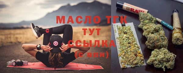 стаф Козловка